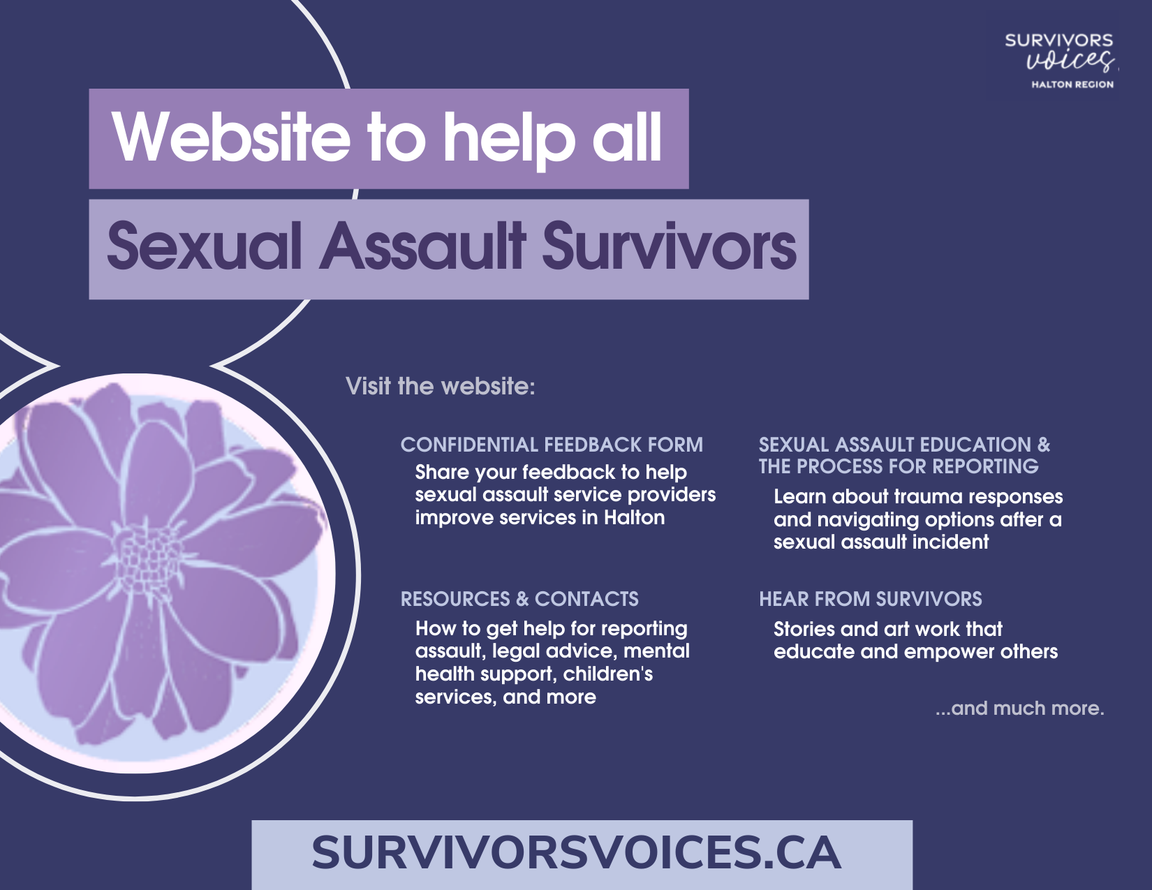 Survivors Voices info graphic
